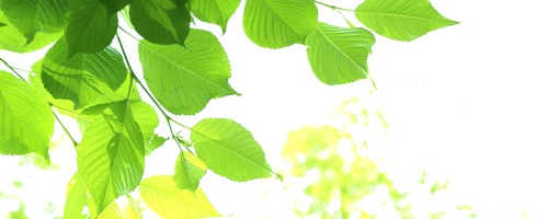 makana }Ji I[CDTv̔TCg